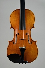 violino2012tavola.jpg