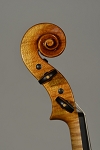 violino2012testa.jpg