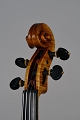 violino2012testananame.jpg